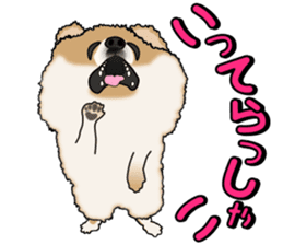 I like Pomeranian sticker #6267378