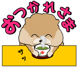 I like Pomeranian sticker #6267380