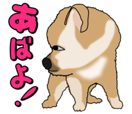 I like Pomeranian sticker #6267384