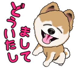 I like Pomeranian sticker #6267390