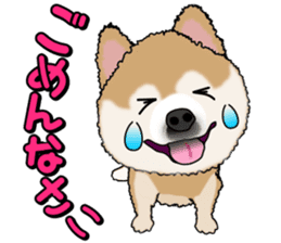 I like Pomeranian sticker #6267392