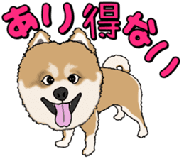 I like Pomeranian sticker #6267394