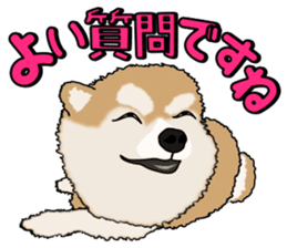 I like Pomeranian sticker #6267395