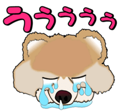 I like Pomeranian sticker #6267403