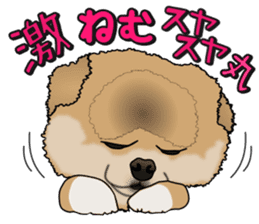 I like Pomeranian sticker #6267404