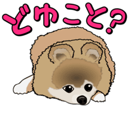 I like Pomeranian sticker #6267409