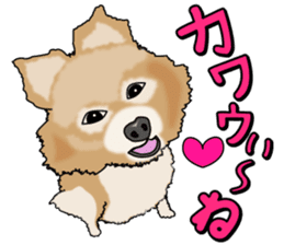 I like Pomeranian sticker #6267410
