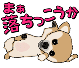 I like Pomeranian sticker #6267412