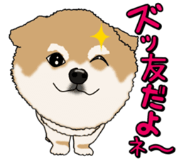 I like Pomeranian sticker #6267414