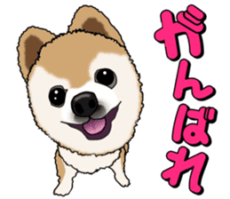 I like Pomeranian sticker #6267415