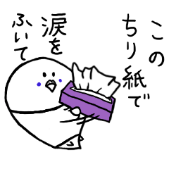 Last-minute honorific of parakeet father