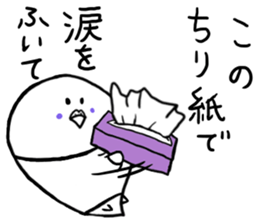 Last-minute honorific of parakeet father sticker #6268177