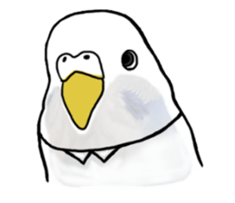 Last-minute honorific of parakeet father sticker #6268193
