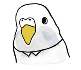 Last-minute honorific of parakeet father sticker #6268193