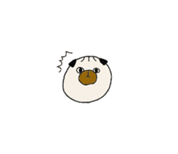 maru-pug sticker #6268824