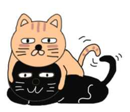 cat cat cat cats sticker #6271620