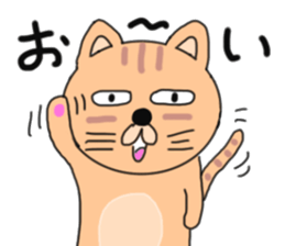 cat cat cat cats sticker #6271622