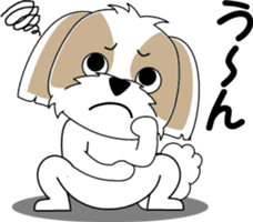 Cute Shih Tzu dog sticker #6275405