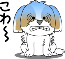 Cute Shih Tzu dog sticker #6275428