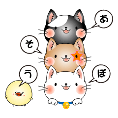 Cat *3 chick (one's own pace)