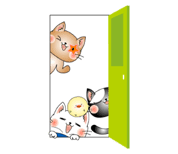 Cat *3 chick (one's own pace) sticker #6276571