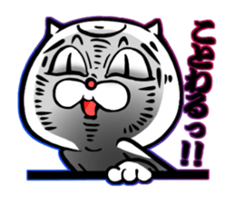 cat of an impudent face sticker #6277675