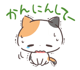 Kinako cat Kyoto sticker set sticker #6278383