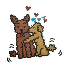 Love talk with toy poodle