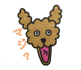 Love talk with toy poodle sticker #6278407