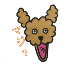 Love talk with toy poodle sticker #6278407