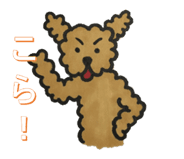 Love talk with toy poodle sticker #6278408