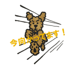 Love talk with toy poodle sticker #6278412