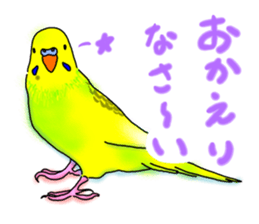 Kichan life sticker #6278813