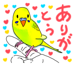 Kichan life sticker #6278815