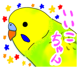 Kichan life sticker #6278830