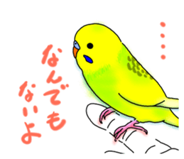 Kichan life sticker #6278834