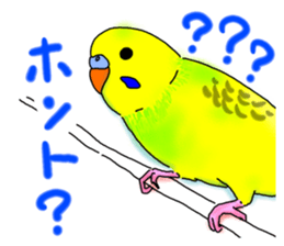 Kichan life sticker #6278837