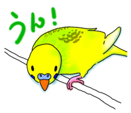 Kichan life sticker #6278838