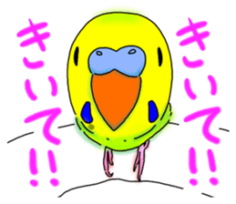 Kichan life sticker #6278840