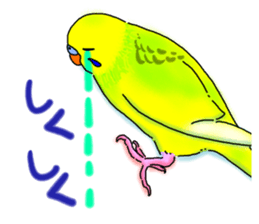 Kichan life sticker #6278842