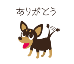 Happy Chihuahua. sticker #6278896