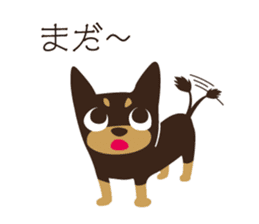 Happy Chihuahua. sticker #6278904