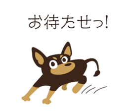 Happy Chihuahua. sticker #6278905