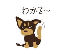 Happy Chihuahua. sticker #6278920