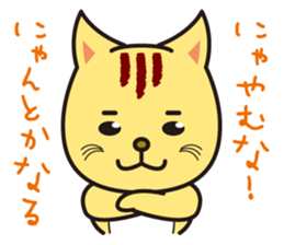 positive cat Popo and negative cat Nene sticker #6284217