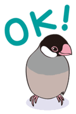 Chubby the Java Sparrow sticker #6285336
