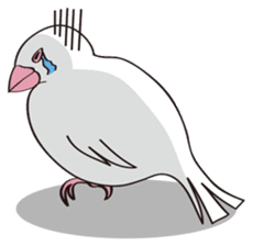 Chubby the Java Sparrow sticker #6285338