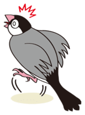 Chubby the Java Sparrow sticker #6285339
