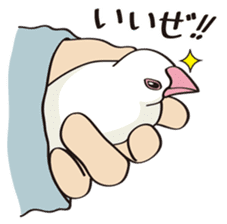 Chubby the Java Sparrow sticker #6285343