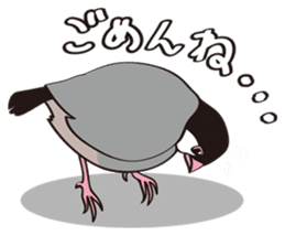 Chubby the Java Sparrow sticker #6285345